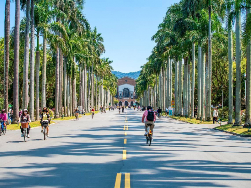 晚上剪指甲會害父母折壽？台大學霸嘆：台灣書讀越好，越不敢思考「德國留學1年，勝過填鴨教育18年」